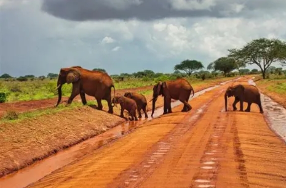 Tsavo East National Park